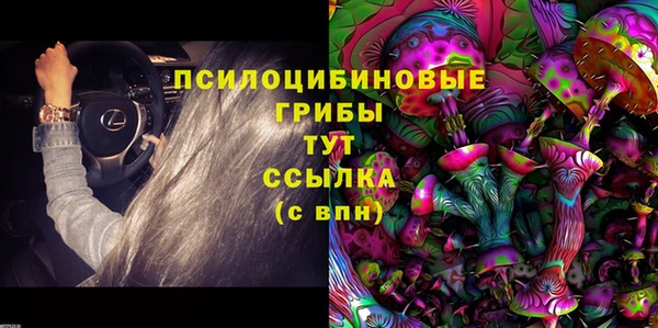 бошки Володарск